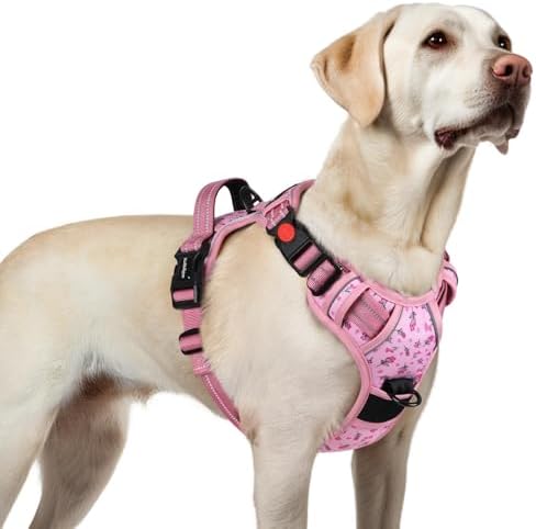 rabbitgoo Dog Harness for Large, Updated Easy On & Off by rabbitgoo