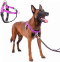 Freedom No Pull Dog Harness, Medium/Large by APDEXY%7CEspeciallyFurYou