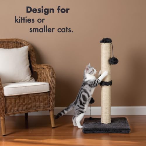 MECOOL Cat Scratching Post Premium Basics Kitten Scratcher Sisal Scratch Posts - Image 3