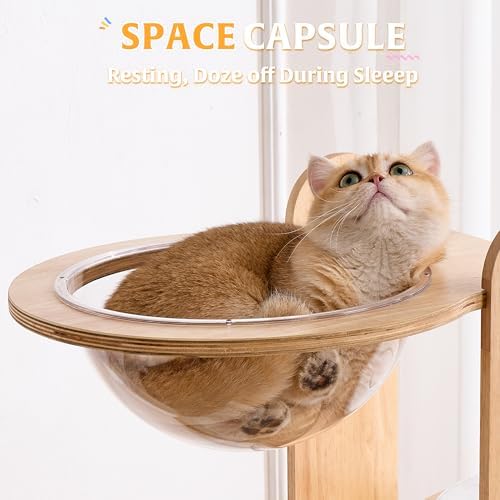 HITTITE Solid Wood Cat Tree Tower - Image 5