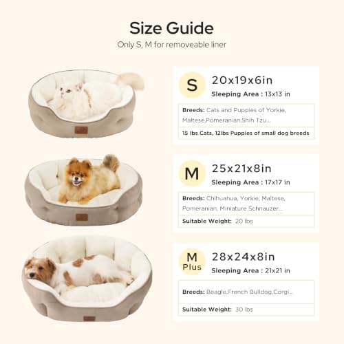 Bedsure Dog Beds for Small Dogs - Image 6