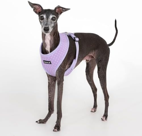 Puppia Dotty Dog Harness A Fashionable Polka Dot Pattern Spring Summer Harness - Image 3