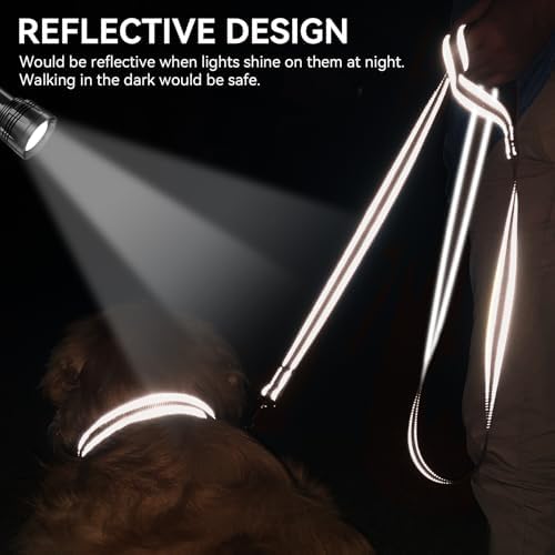 Joytale Reflective Dog Leash for Small Dogs, 6 FT x 3/4" - Image 4