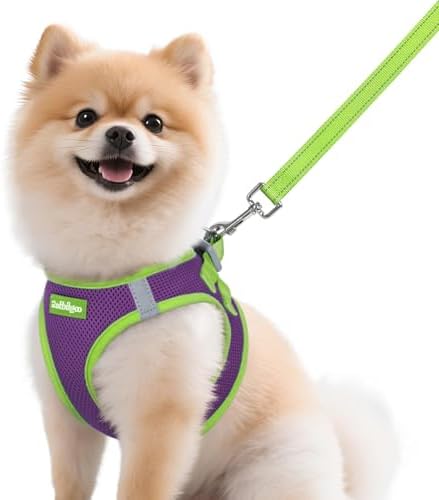 rabbitgoo Dog Harness Small Sized and Leash Set, Step in Soft Vest by rabbitgoo