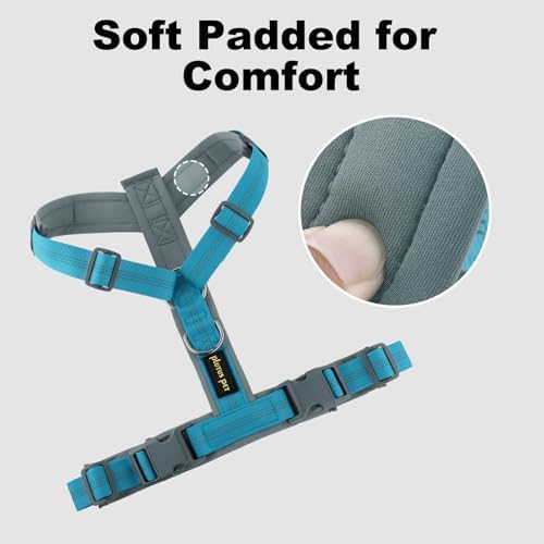 Plutus Pet No Pull Dog Harness, Adjustable Nylon Harness - Image 3