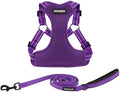 Best Pet Supplies Voyager Adjustable Step-in Flex Breathable Mesh Dog Harness by BestPetSuppliesLLC