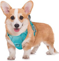 BARKBAY No Pull Dog Harness Large Reflective Dog Harness by BARKBAY