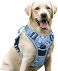 rabbitgoo Dog Harness, No Pull for Large Dogs by rabbitgoo