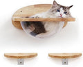 FUKUMARU Cat Wall Furniture Set, Transparent Capsule by FUKUMARU
