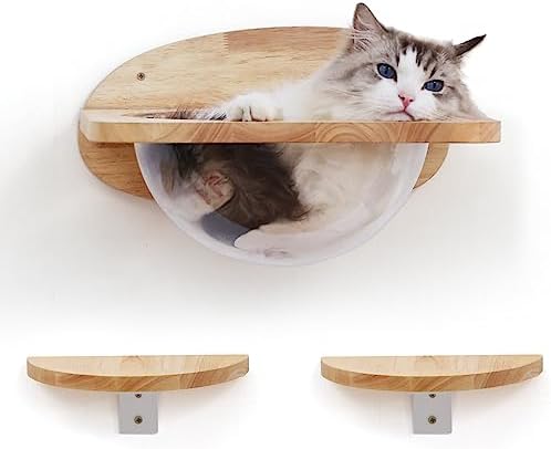 FUKUMARU Cat Wall Furniture Set, Transparent Capsule by FUKUMARU