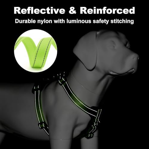 Plutus Pet No Pull Dog Harness - Image 4