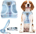 PUPTECK Dog Harness, Collar and Leash Set No Pull by PUPTECK