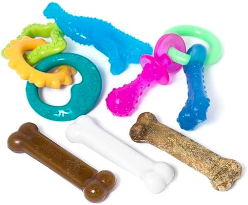 Nylabone Puppy Chew Toy & Treat Bundle by Nylabone