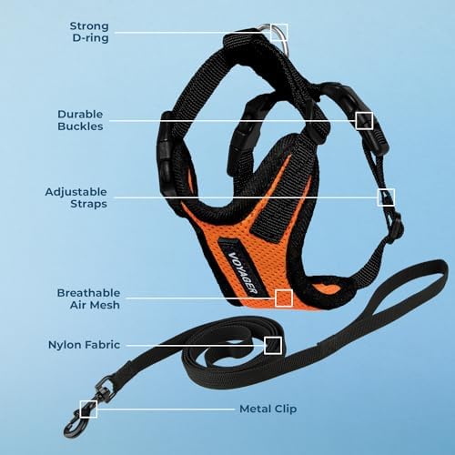 Voyager Step-in Lock Cat Harness & Leash Set - Image 3