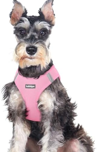 rabbitgoo Step-in Small Dog Harness, Puppy Vest by rabbitgoo