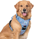 rabbitgoo Dog Harness, No Pull for Large Dogs by rabbitgoo