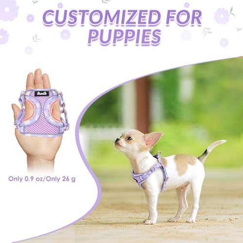 Lukovee Small Dog Harness and Leash Set, No Pull Lightweight Soft Mesh Vest - Image 2