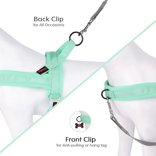 Didog No Pull Dog Harness with Breathable Mesh Padded, Quick Fit & Easy on Dog - Image 4