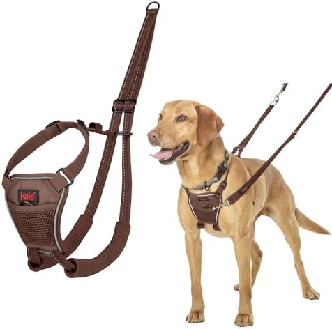 Halti No Pull Dog Harness | Size M, Deep Walnut by Halti