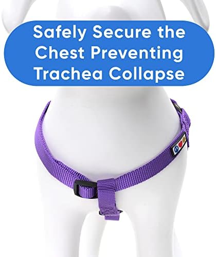 Pawtitas Solid Step-in Dog Harness – Adjustable No-Pull Vest - Image 4