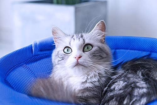 MW Cat Hammock Bed Free-Standing - Image 6