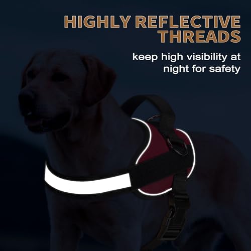 Haapaw Essential Dog Harness, No Pull Pet Vest - Image 4