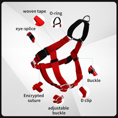 Freedom No Pull Dog Harness - Image 4