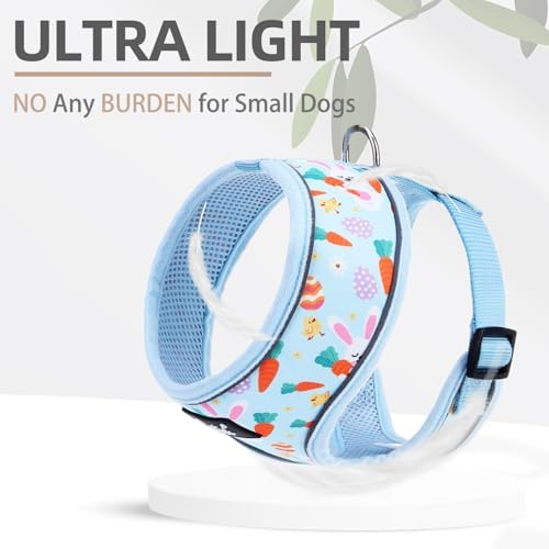 PUPTECK Small Dog Harness and Leash Set No Pull - Image 5