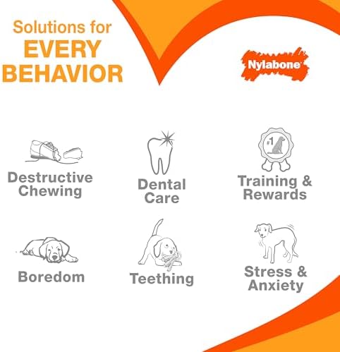 Nylabone Puppy Chew Toy & Treat Bundle - Image 6
