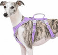Huntboo Escape Proof Dog Harness, No Pull Reflective Harness by Huntboo