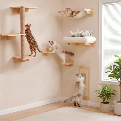 6-in-1 Cat Wall Shelves for Large Cats, Wall Mounted Climber by Unknown