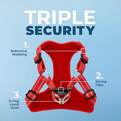 Voyager Step-in Flex Adjustable Dog Harness - Image 2