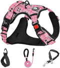 NESTROAD Dog Harness for Small Sized Dog, No Pull Dog Vest Harness Set by NESTROAD