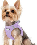 rabbitgoo Step-in Small Dog Harness, Puppy Vest by rabbitgoo