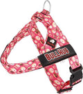 BULLHUG Adjustable Dog Harness– No Pull, No Choke – by BULLHUG