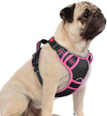 rabbitgoo Dog Harness Small Sized, No Pull 3 Buckles Easy On & Off by rabbitgoo