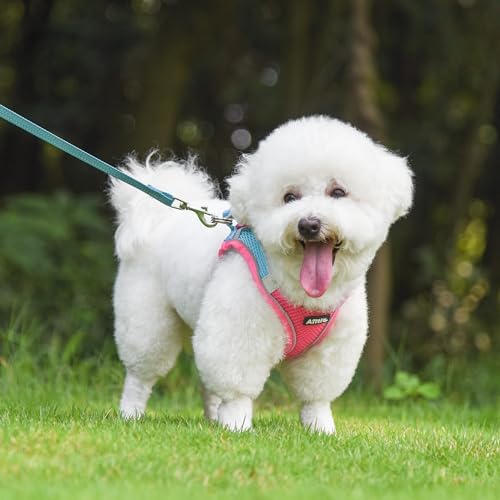 AIITLE Dog Harness and Leash Set, Step-in Puppy Pet Vest, Hot Pink XL - Image 2