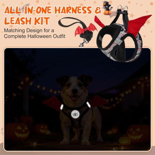 BEAUTYZOO Small Dog Harness and Leash Set, Step in No Choke No Pull Soft Mesh - Image 6
