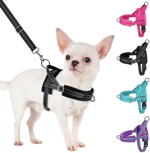SlowTon No Pull Small Dog Harness and Leash Set by SlowTon