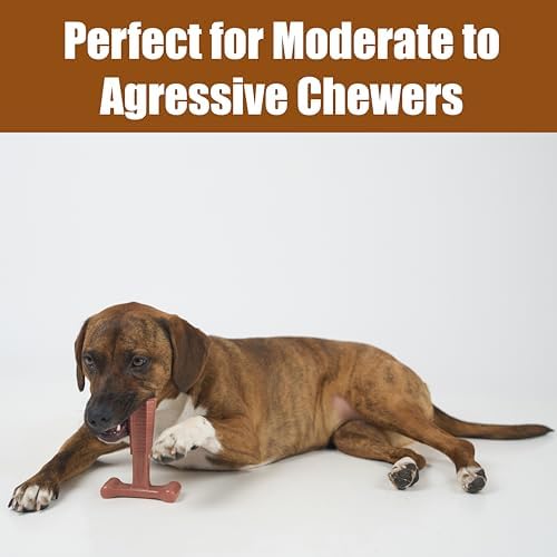 SPOT Bam-Bones Plus T-Bone Dog Chew, 30-60 lb Heavy Chewers - Image 6