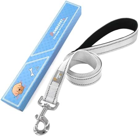 6 FT Basic Dog Leash for Small Dogs - Image 6