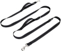 Double Handle 10ft Dog Leash by WYuZe