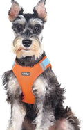 rabbitgoo Step-in Small Dog Harness, Puppy Vest by rabbitgoo