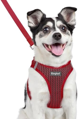 Eagloo Small Dog Harness and Leash Set, Step in Medium Small Puppy Pet Vest by GoExplorewithEagloo