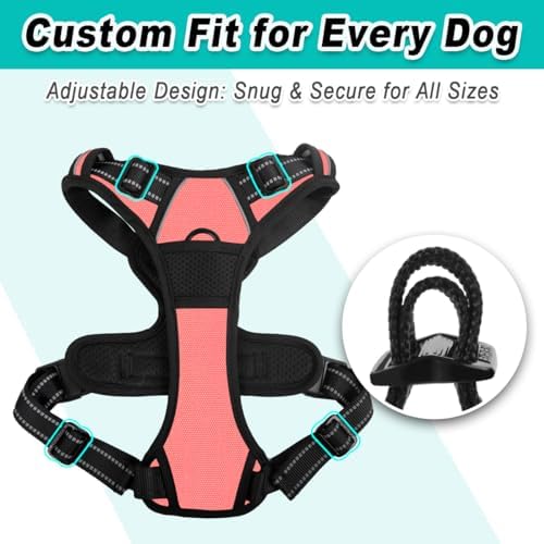 BARKBAY Dog Harness for Small Sized Dog No Pull 2 Leash Clips Dog Vest - Image 6