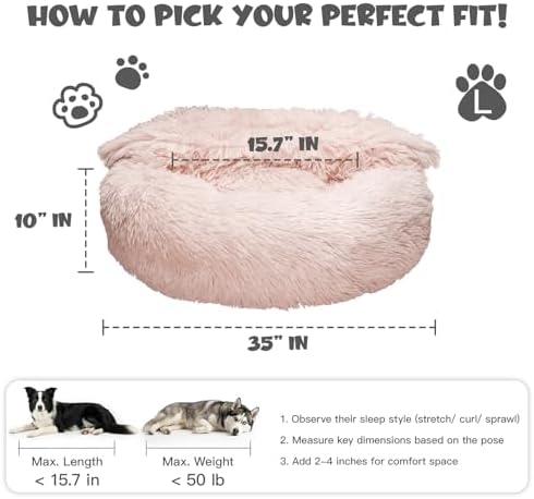 Himax 35in Covered Large Dog Bed - Image 2
