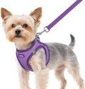 rabbitgoo Dog Harness Small Sized and Leash Set, Step in Soft Vest by rabbitgoo
