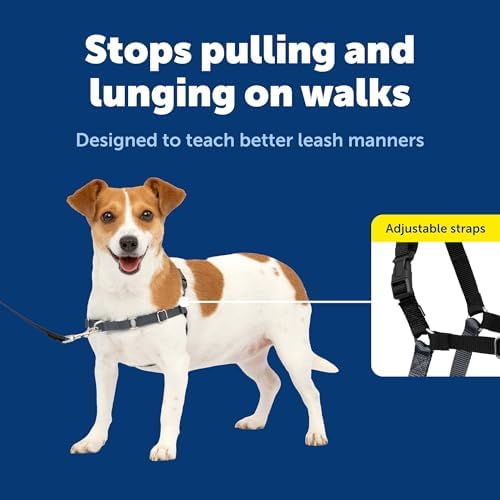 PetSafe Easy Walk Harness, No Pull Dog Harness, Charcoal Gray - Image 3