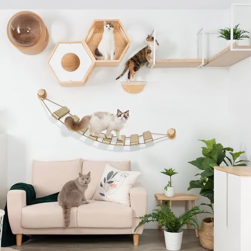 Multi-Functional Cat Ladder & Climbing Frame - Image 5