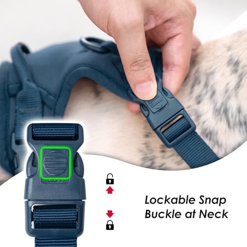 Sunraymascota No Pull Dog Harness - Image 2